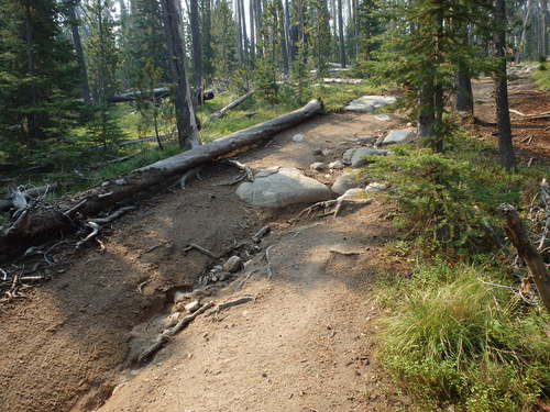 GDMBR: Challenging Bicycle Tour Trail.